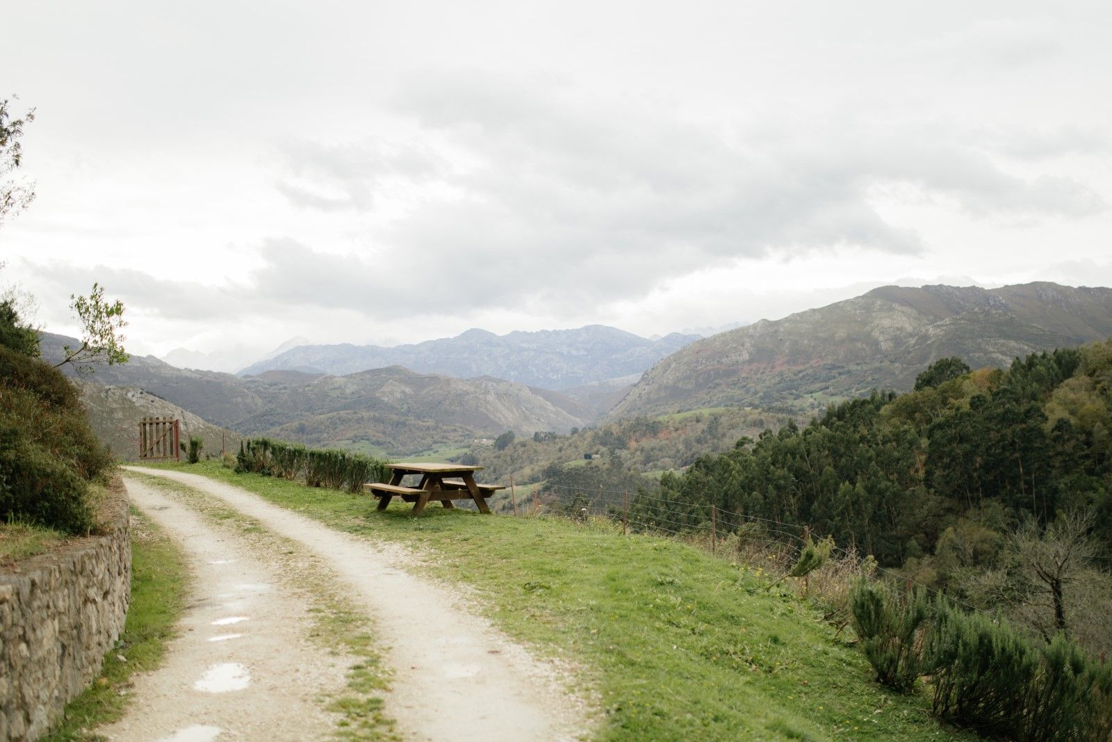 Casa-rural-en-Asturias-con-vistas-panoramicas-a-los-Picos-de-Europa