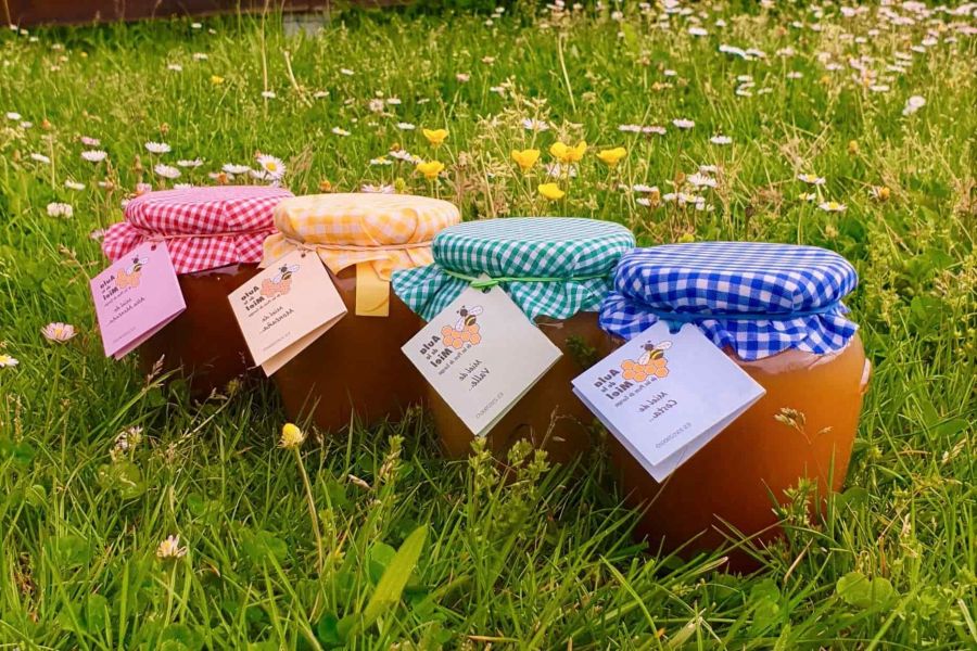 aula de la miel picos de europa vista