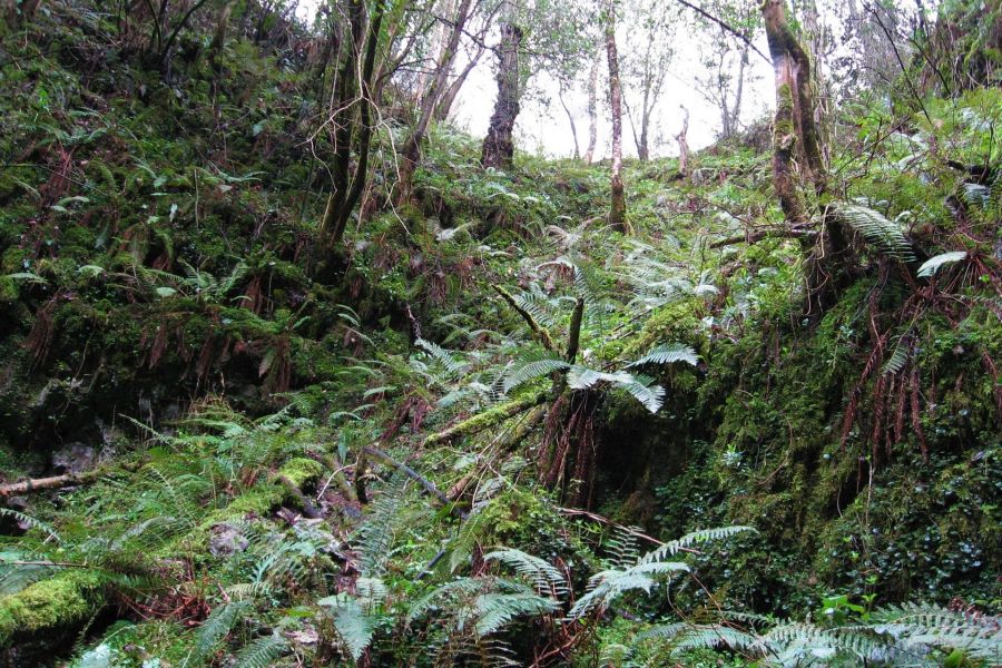 bajada cueva samoreli rales allende