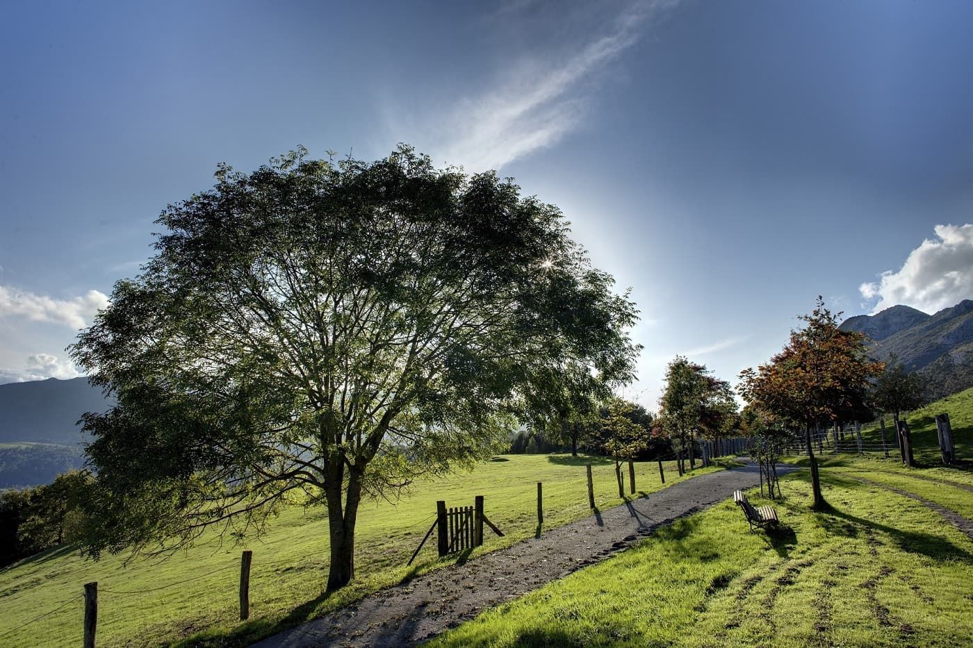 bosque en asturias en hotel rural