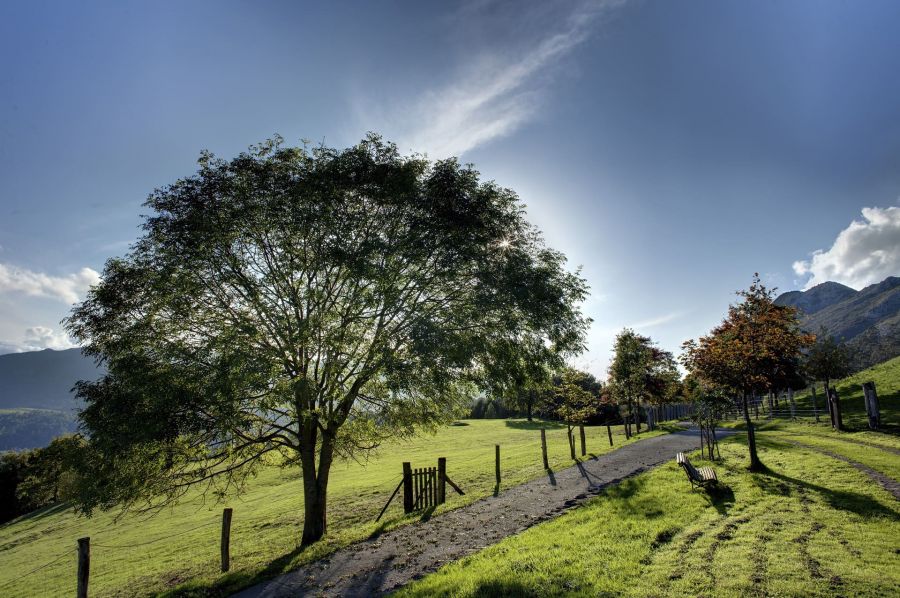 casa rural en asturias con granja