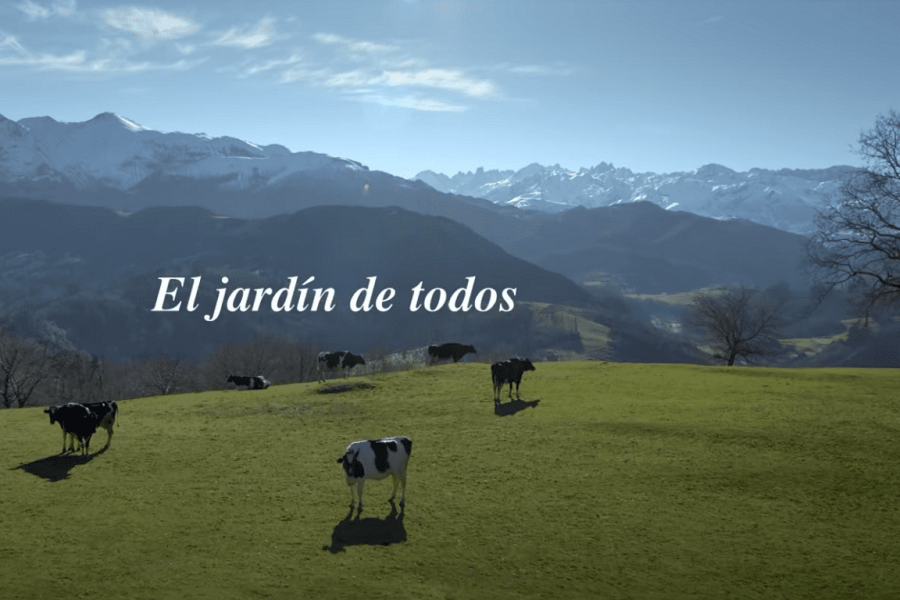 central lechera asturiana picos de europa