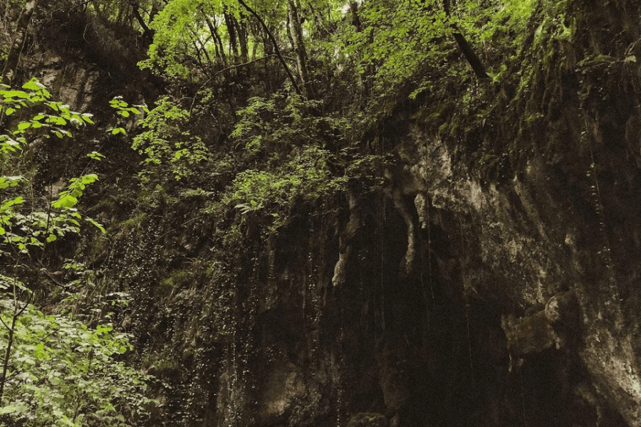 cueva samoreli llanes