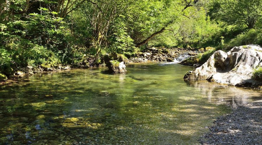 desfiladero rio casaño picos de europa
