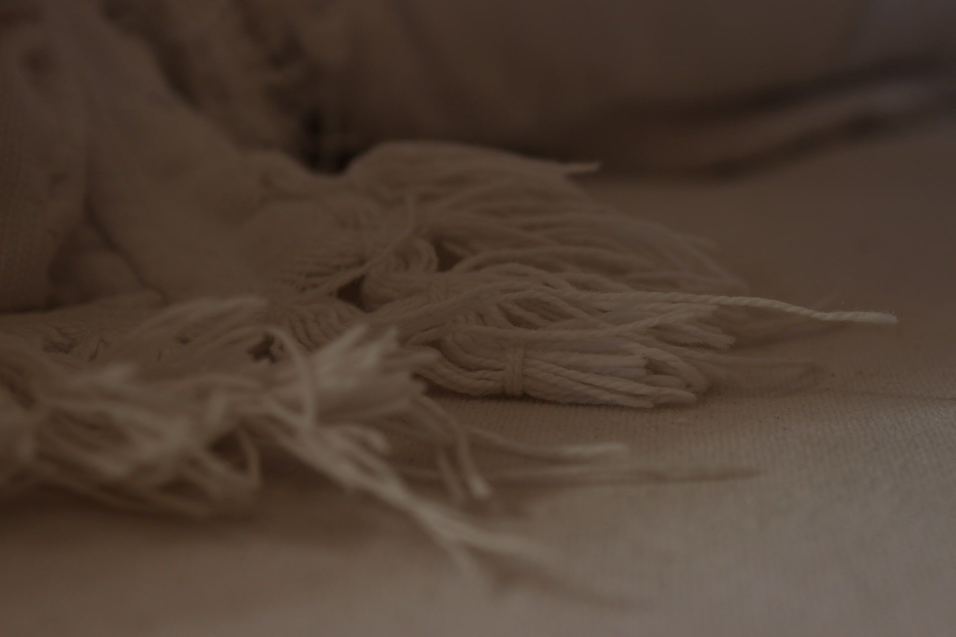 detail cushion macro salon relax