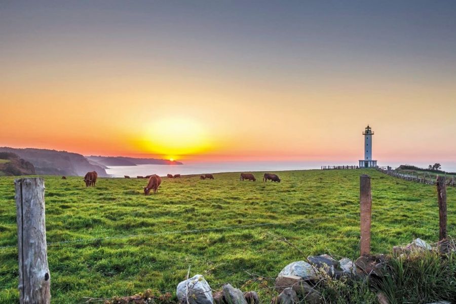 faro de luces lastres doctor mateo
