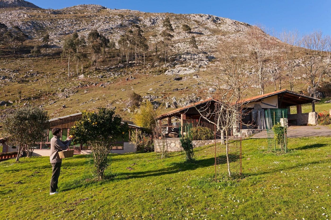 hotel with farm horses and animals in asturias