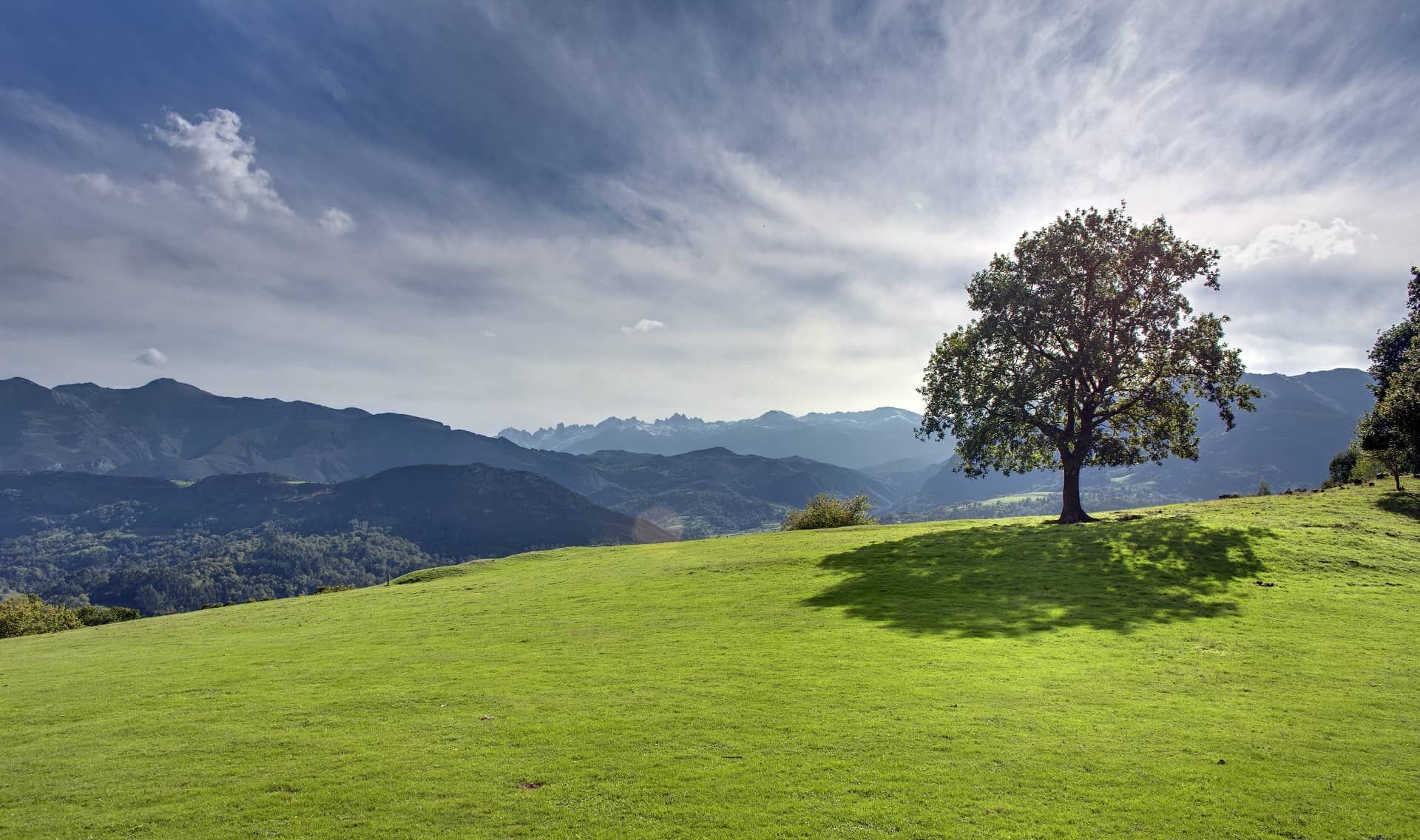 hotel rural en asturias con jardin para yoga