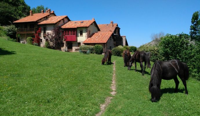 Granja y Hotel Rural en Llanes, Asturias. Ideal para familias con niños