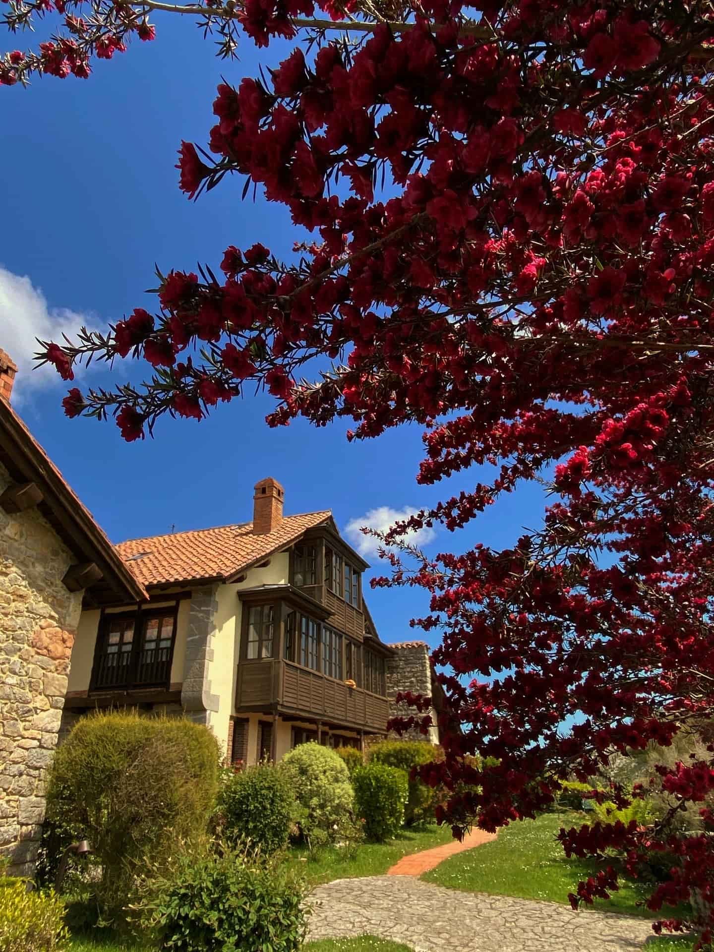 hotel rural la montana magica en asturias para ir con ninos