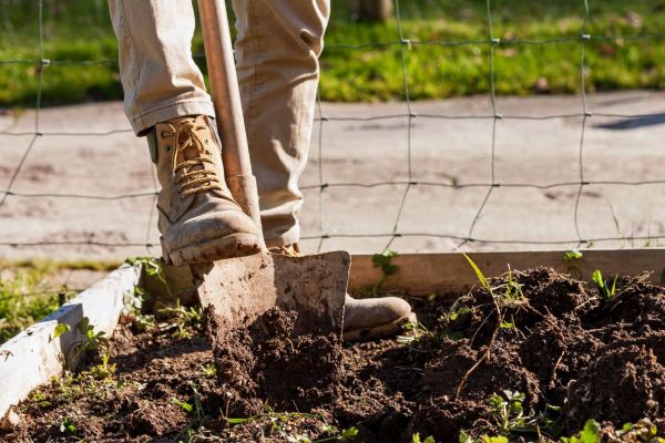 orchard farm life in the countryside asturias