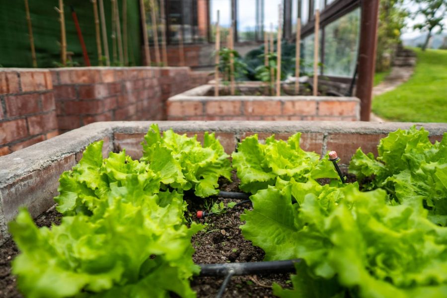 invernadero ecologico bancal profundo