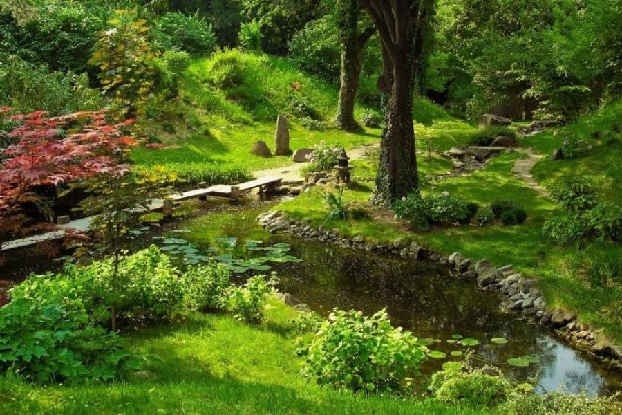 jardin botanico que ver en gijon