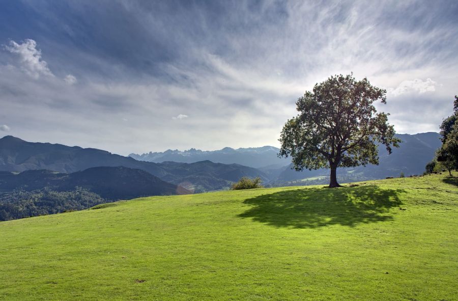 mejor vista picos de europa