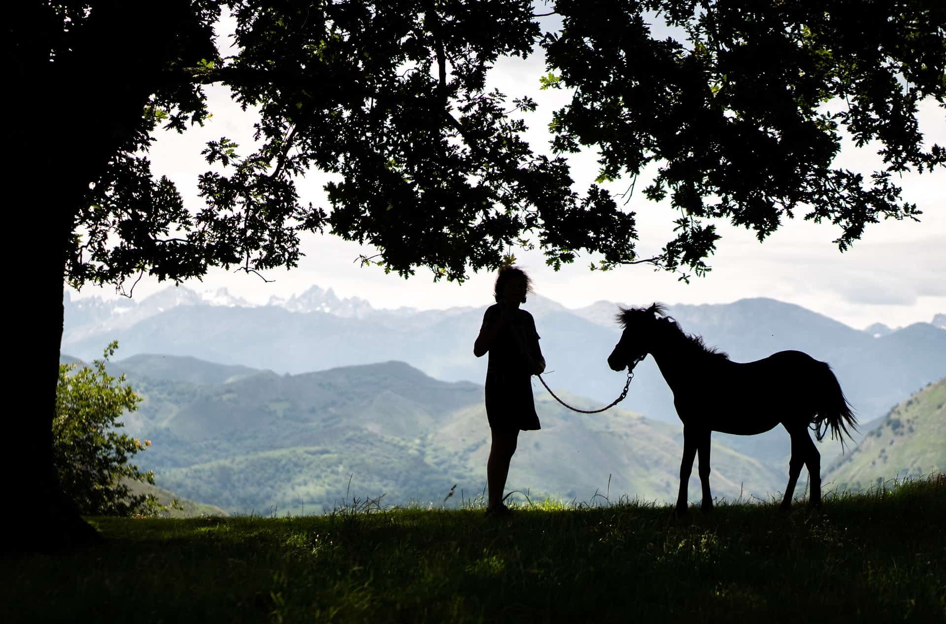 persona con caballo en la mano paseo