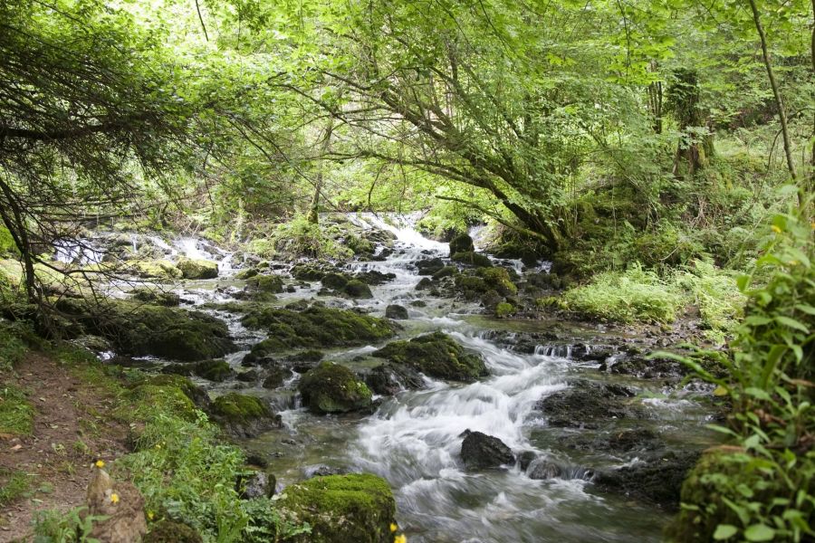 ruta colores del valle oscuru rio en asturias