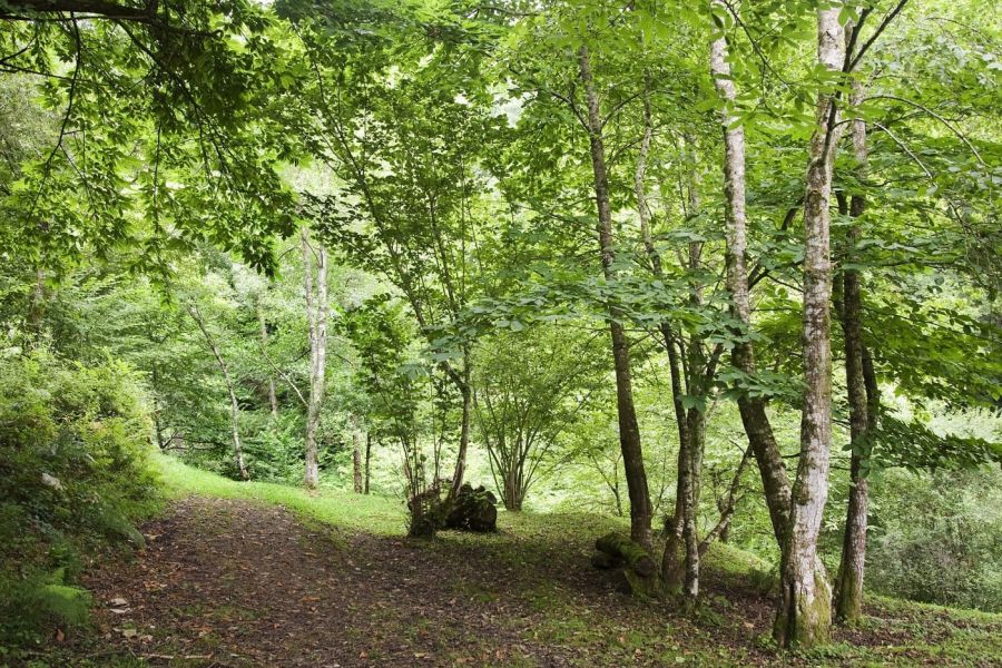 ruta de los colores del valle oscuru en llanes