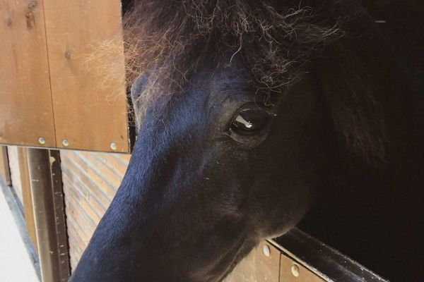 horse riding routes in asturias llanes