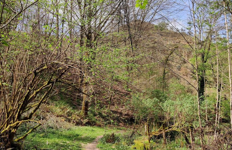 senda nacimiento rio puron