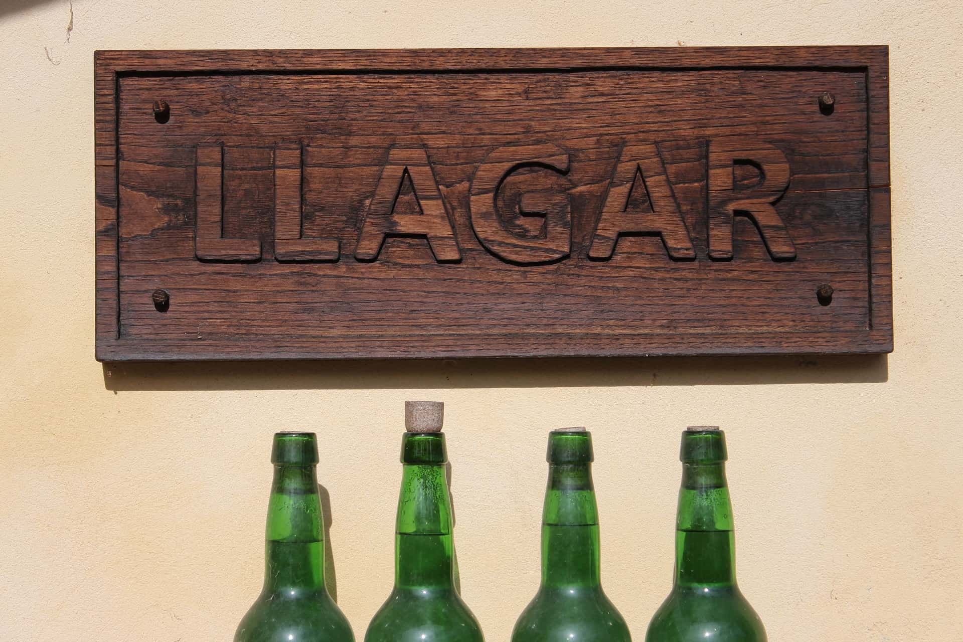 natural asturian cider llanes