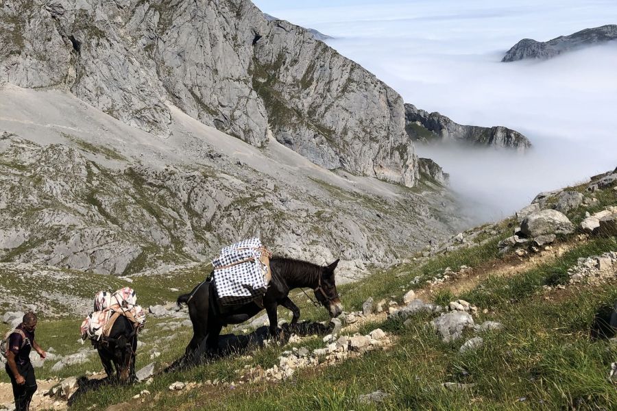 transportista porteador refugio naranjo urriellu