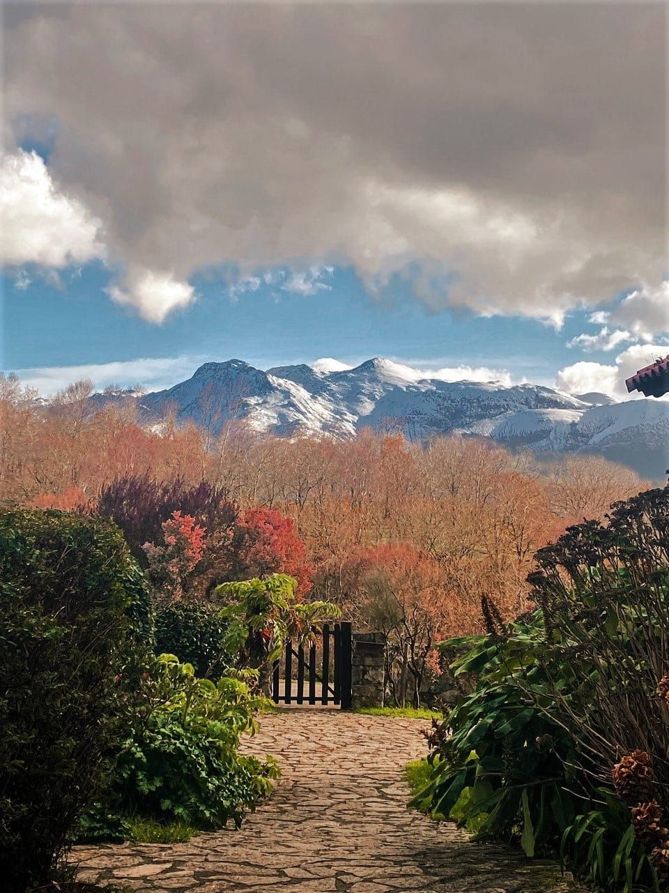 vistas a la montana nevada picos de europa