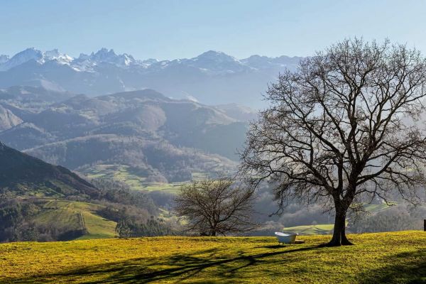 views of peaks of europa from llanes